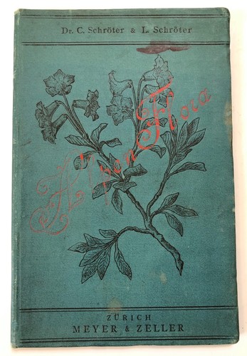 1889 antique pocket - 1889, flora