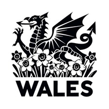 Welsh Dragon with Daffodils