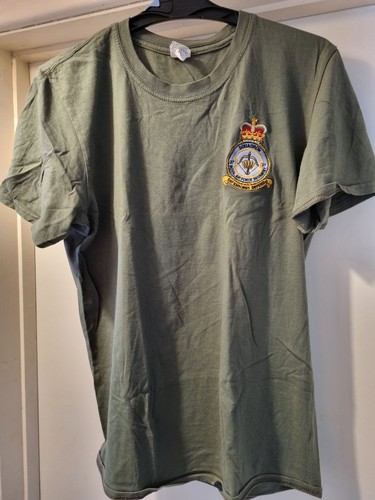 Squadron raf regiment - raf,