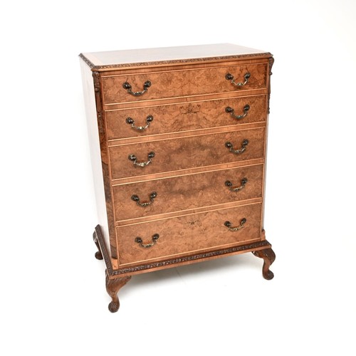 Antique burr walnut - burr,