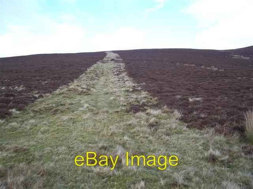 Photo 6x4 vertical - vertical, track