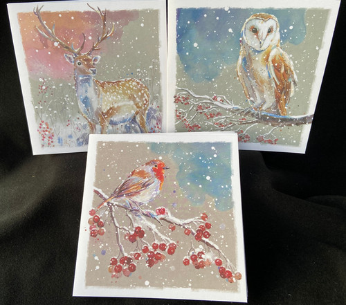 Winter wildlife box 12 - wildlife,