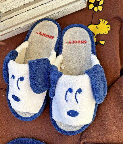 Peanuts snoopy house - snoopy,