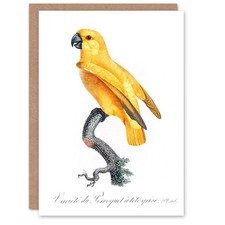 Francois Levaillant Art Card