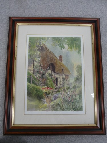 Artist signed limited - artist,