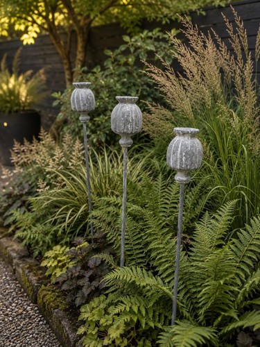 Set poppy seed - set,
