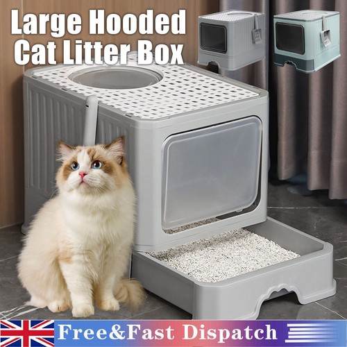 Extra large hooded cat - hooded,