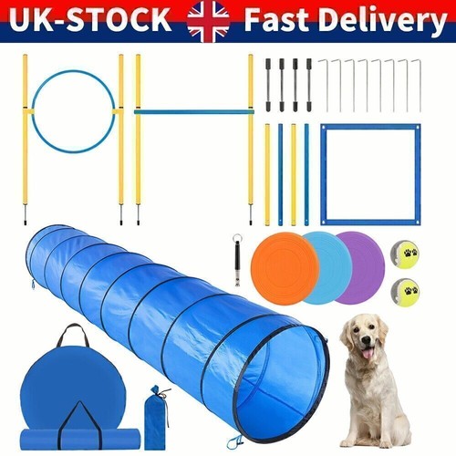 Dog agility equipment tool - uk,