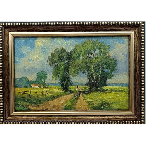 Country road landscape - country,