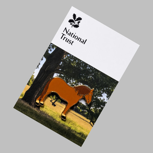 National trust wimpole hall - national,