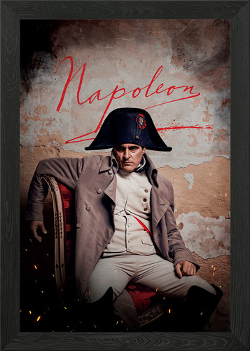 Napoleon framed wall - wall, art