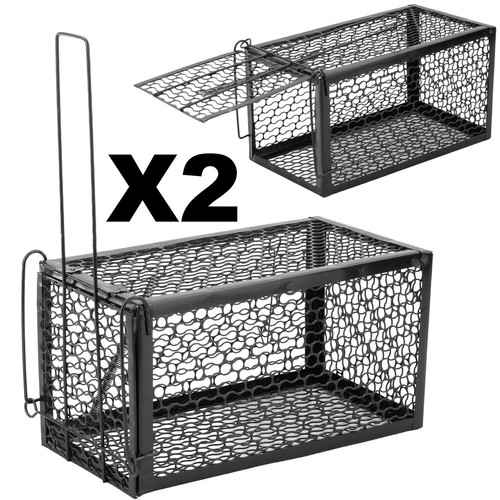 Rat trap mouse - rat, catcher