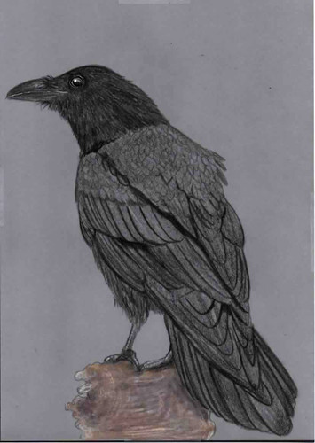 Original coloured pencil