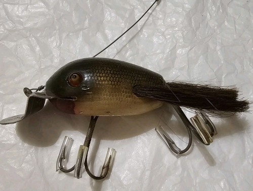 Antique creek chub - chub, dingbat