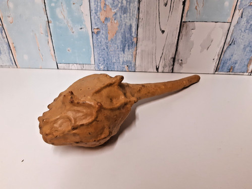Vintage instrument dried - vintage, 15"