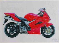 A3 Photo Limited Edition Honda