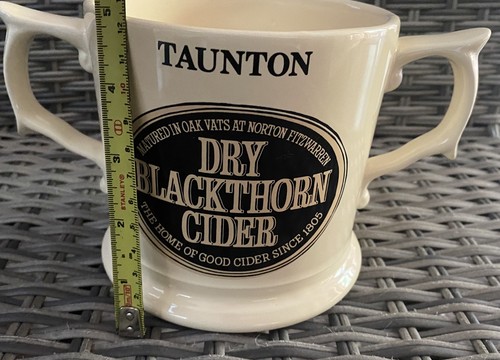 Taunton cider company pint - taunton,