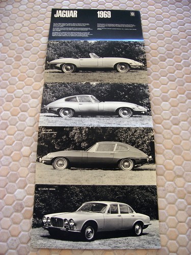 Jaguar official type - jaguar,