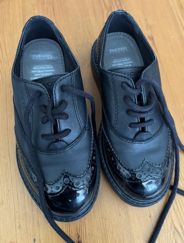 Geox thymer brogue - thymer,