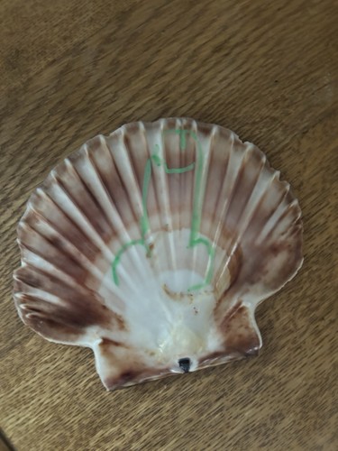 Scallop art painting - scallop, art,