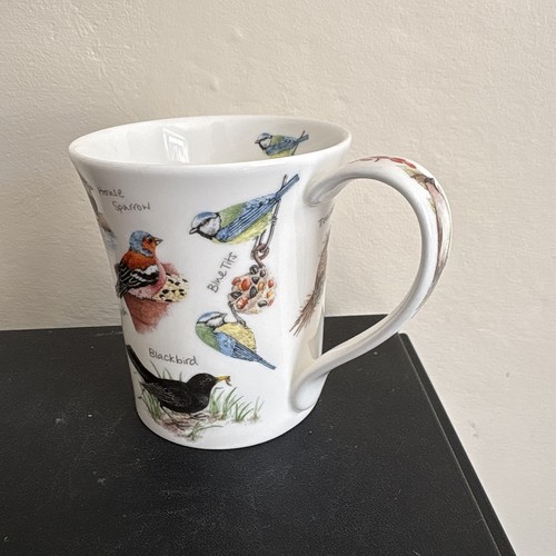 Dunoon bird life jane fern - bird,