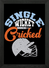 Single Wicket Cricket Play