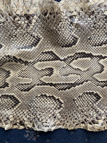 Python skin - python,