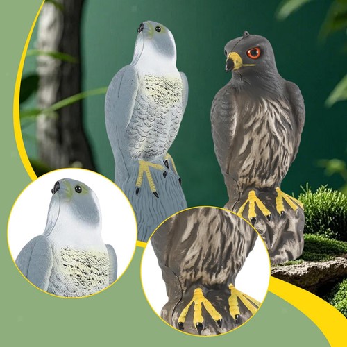 Garden eagle ornament - garden, fake