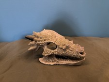 Aquarium Dragon Skull