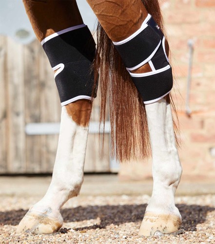 Premier equine magni - premier,