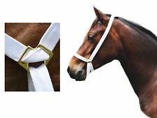 1 " (25mm) Web Adjustable White Show Halter Welsh Pony Cob Native or Traditional