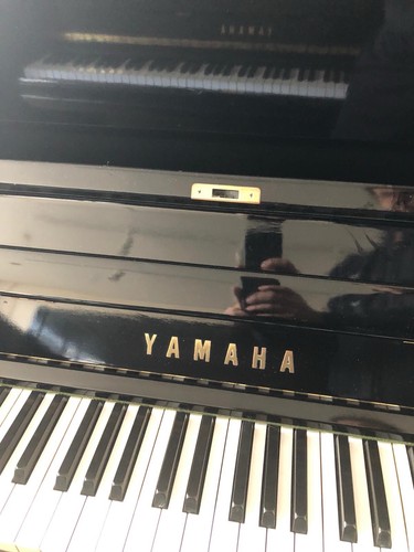 Yamaha japanese - ,
