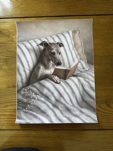 Grey whippet greyhound bed - whippet,