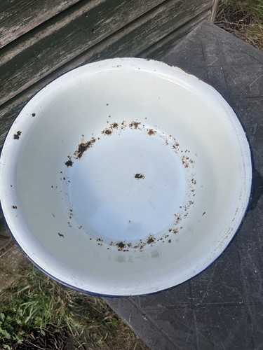 Vintage enamel wash bowl - vintage,