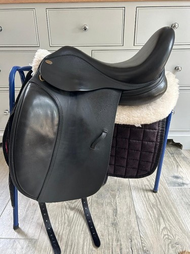 Harry dabbs elegant dressage - dabbs,