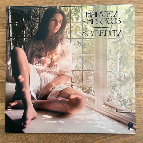 Harvey andrews someday vinyl - someday,