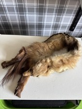 Taxidermy Fur Mink? Wrap Scarf Collar Wrap Drape 68cm