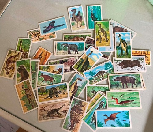 Prehistoric animals brooke - prehistoric,