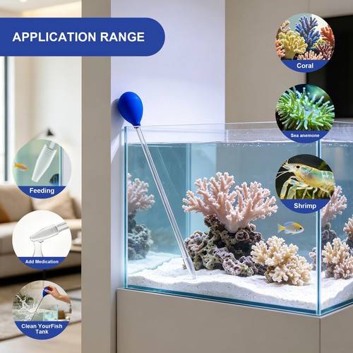 5in coral food feeder - coral,