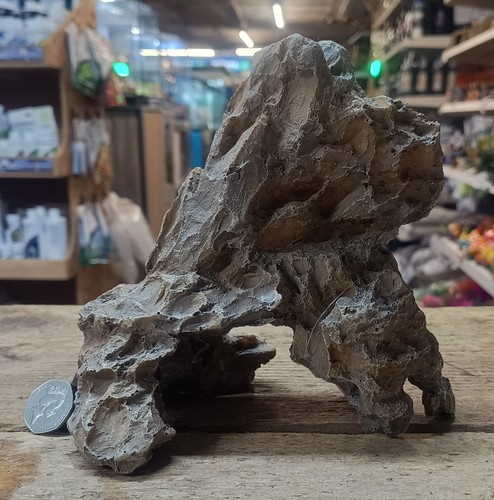 Dragon stone ornament fish - dragon,