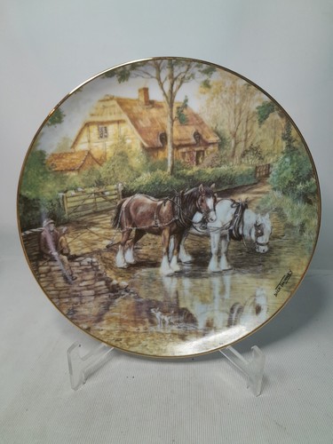 Choose one more plates - choose,