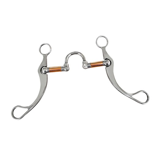 Horse harness stallion - horse,