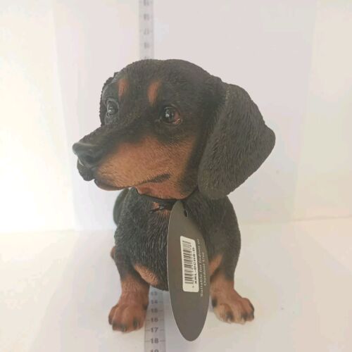 Vivid arts dachshund dog - vivid,