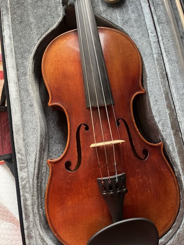 Antonius stradivarius - antonius,