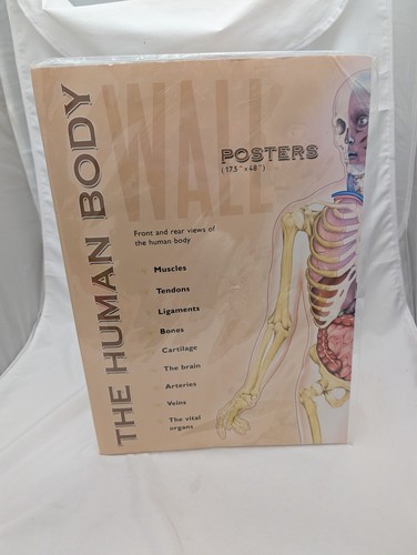 Human body poster pack - poster, 2007