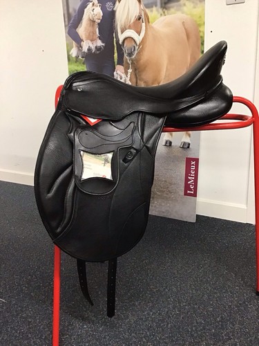 171 kieffer ascona dressage - 171/2,