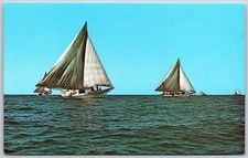 Skip Jack Sailing Ships -