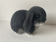 RABBIT BUNNY MINI LOP ANIMAL