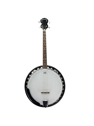 Ashbury banjo - ab-35,
