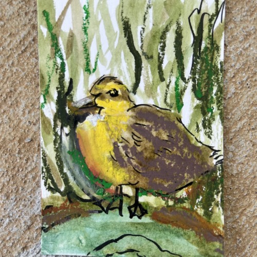 Aceo original duckling - duck, it